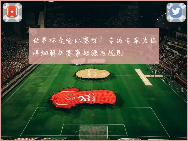 世界杯是啥比赛呀?专访专家为你详细解析赛事起源与规则