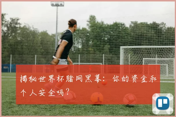 揭秘世界杯赌网黑幕：你的资金和个人安全吗？