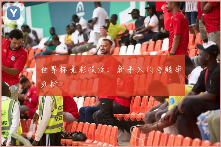 世界杯竞彩投注:新手入门与赔率分析