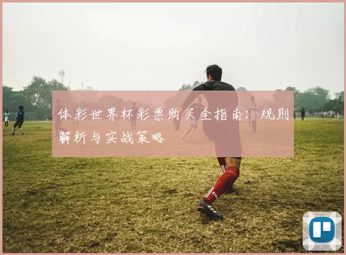 体彩世界杯彩票购买全指南:规则解析与实战策略