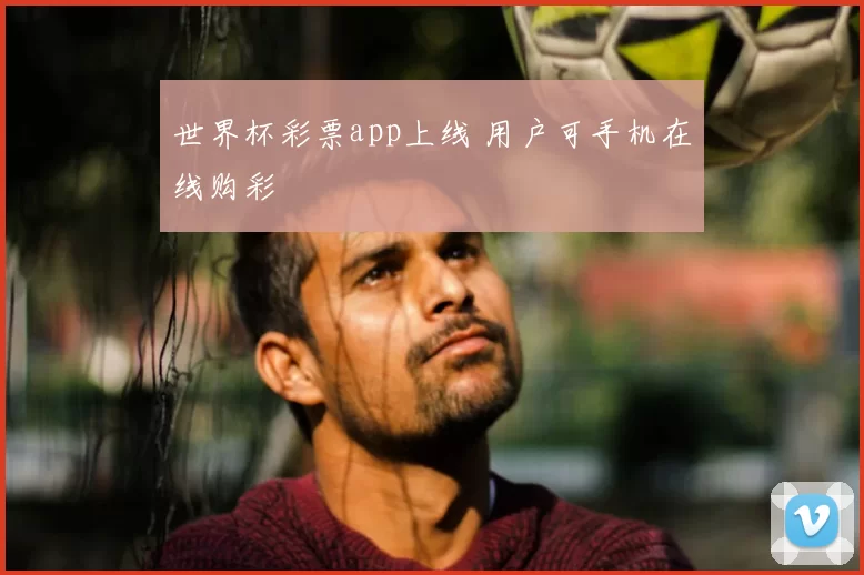 世界杯彩票app上线 用户可手机在线购彩