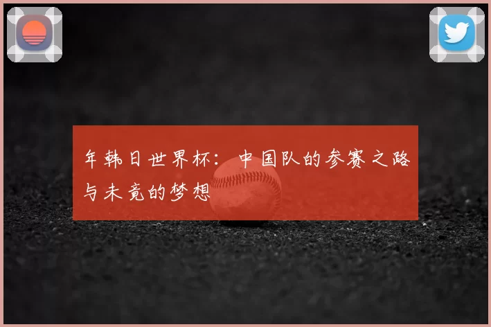 年韩日世界杯:中国队的参赛之路与未竟的梦想