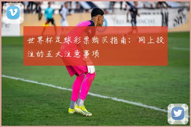 世界杯足球彩票购买指南：网上投注的五大注意事项