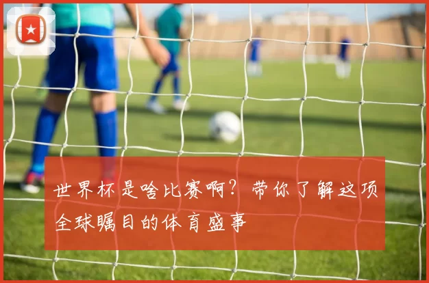 世界杯是啥比赛啊?带你了解这项全球瞩目的体育盛事