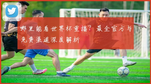哪里能看世界杯重播？最全官方与免费渠道深度解析