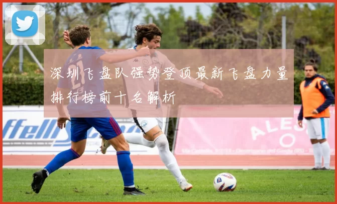 深圳飞盘队强势登顶最新飞盘力量排行榜前十名解析