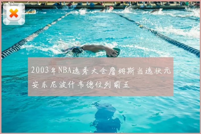 2003年NBA选秀大会詹姆斯当选状元安东尼波什韦德位列前五