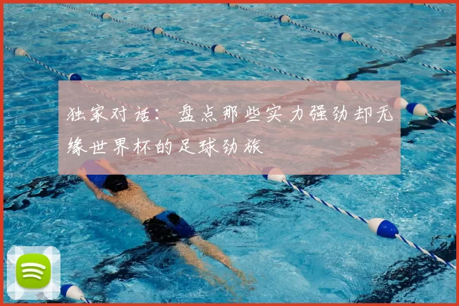 独家对话:盘点那些实力强劲却无缘世界杯的足球劲旅