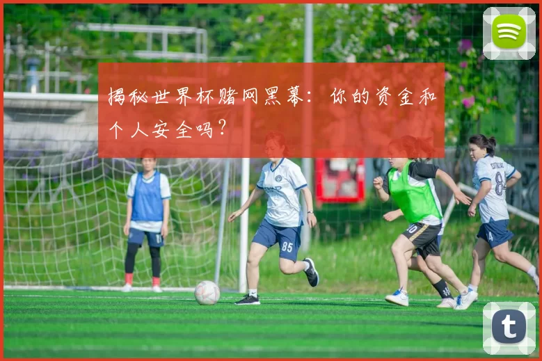 揭秘世界杯赌网黑幕：你的资金和个人安全吗？