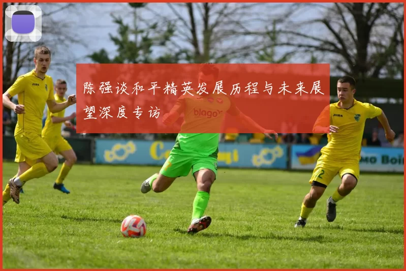 陈强谈和平精英发展历程与未来展望深度专访