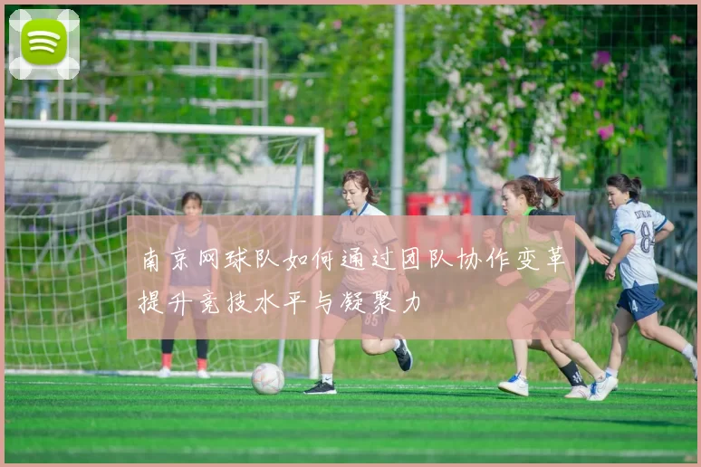 南京网球队如何通过团队协作变革提升竞技水平与凝聚力